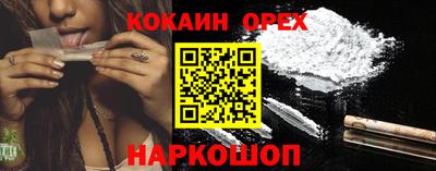 гидра Будённовск