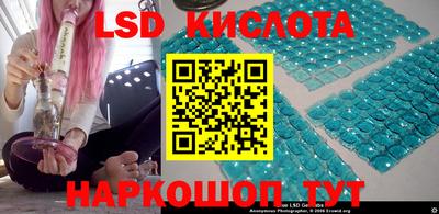 гидра Будённовск