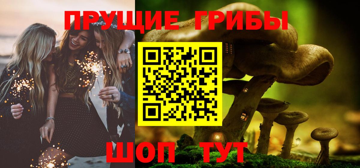 Псилоцибиновые грибы Psilocybe Кубинка